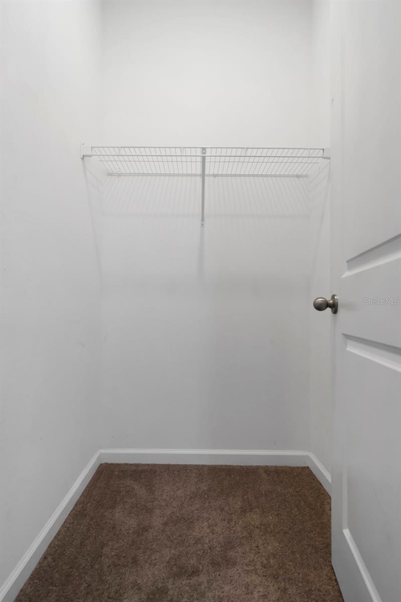 35575 Buttonweed Trl Property Photo 25