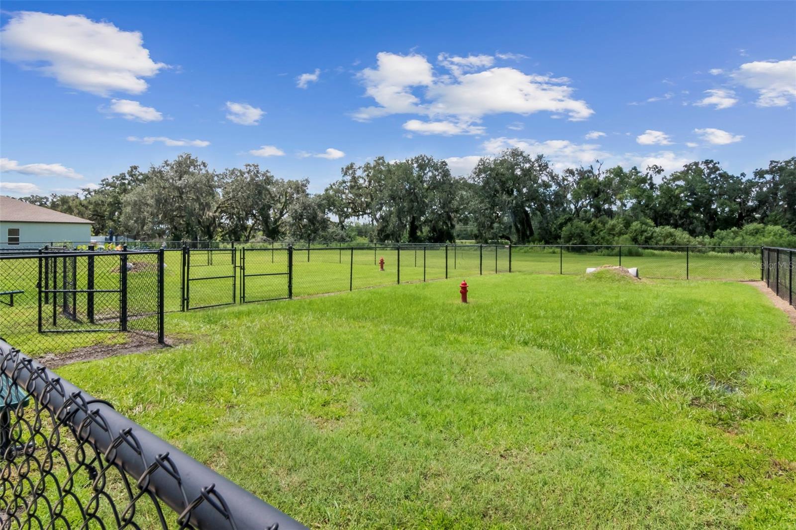 35575 Buttonweed Trl Property Photo 32