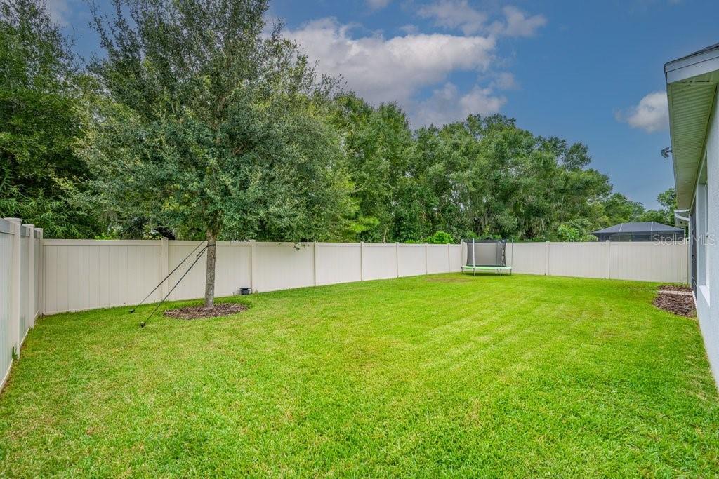 17651 Bright Wheat Dr Property Photo 29
