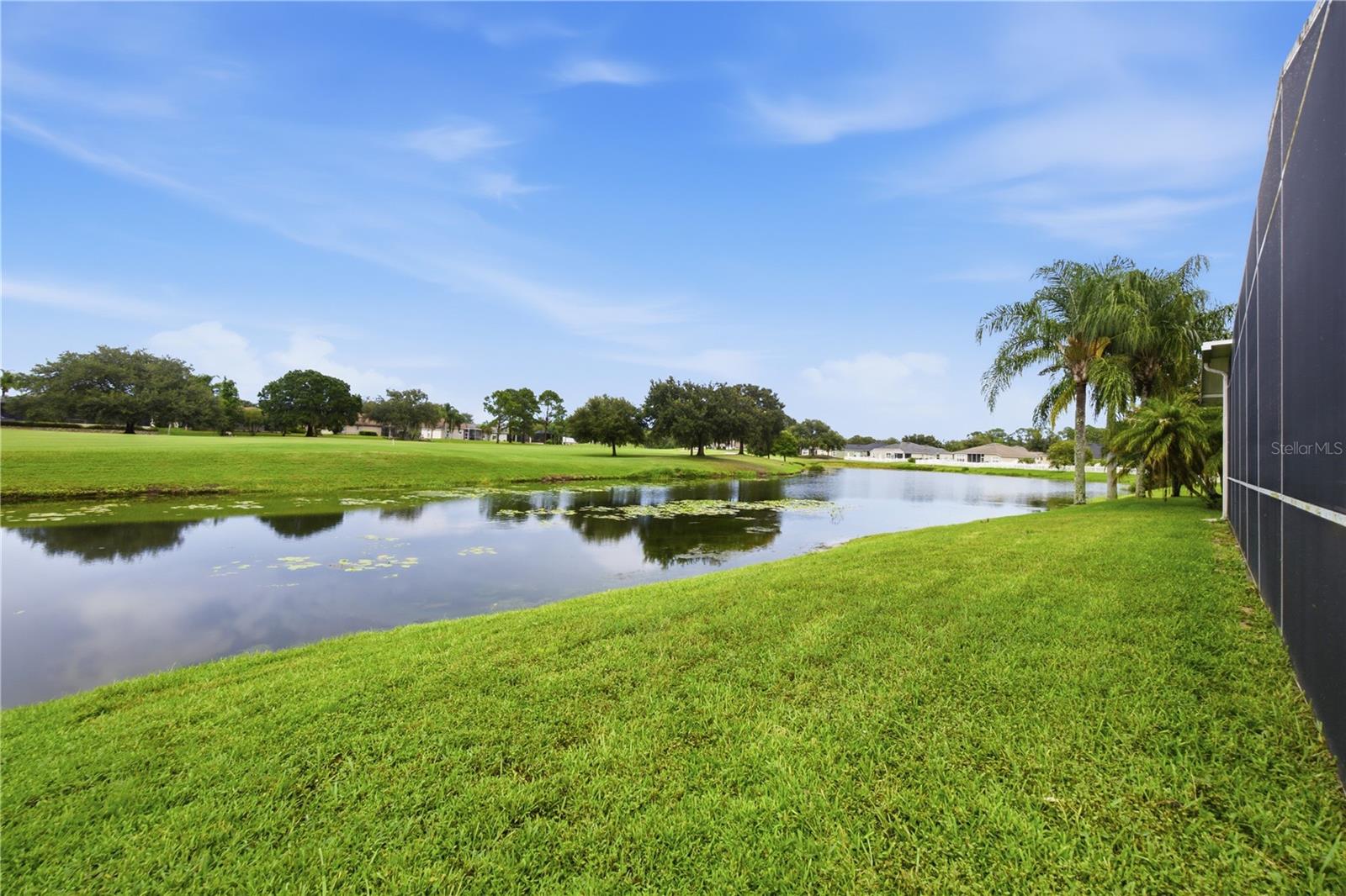 25843 Risen Star Dr Property Photo 44