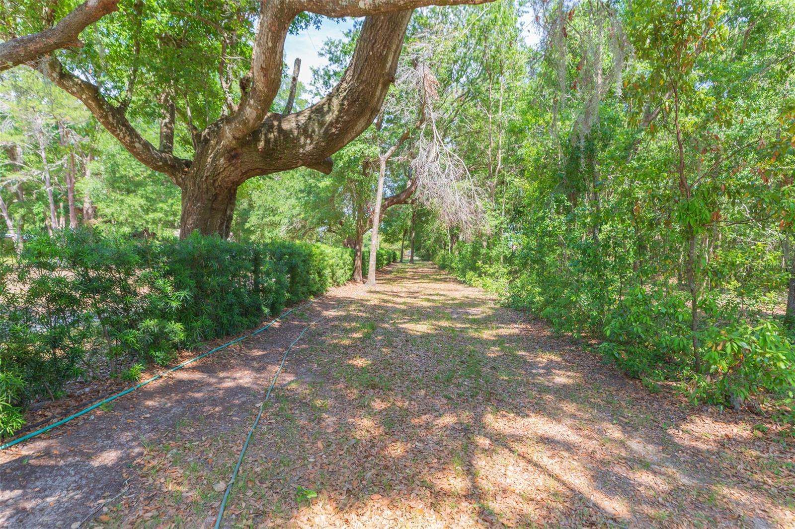 34211 Blanton Rd Property Photo 78