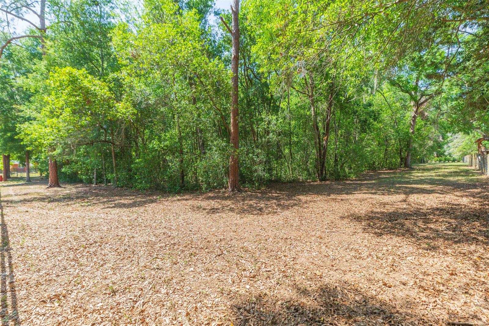 34211 Blanton Rd Property Photo 80