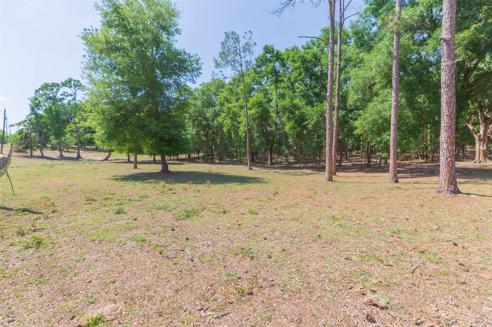34211 Blanton Rd Property Photo 81