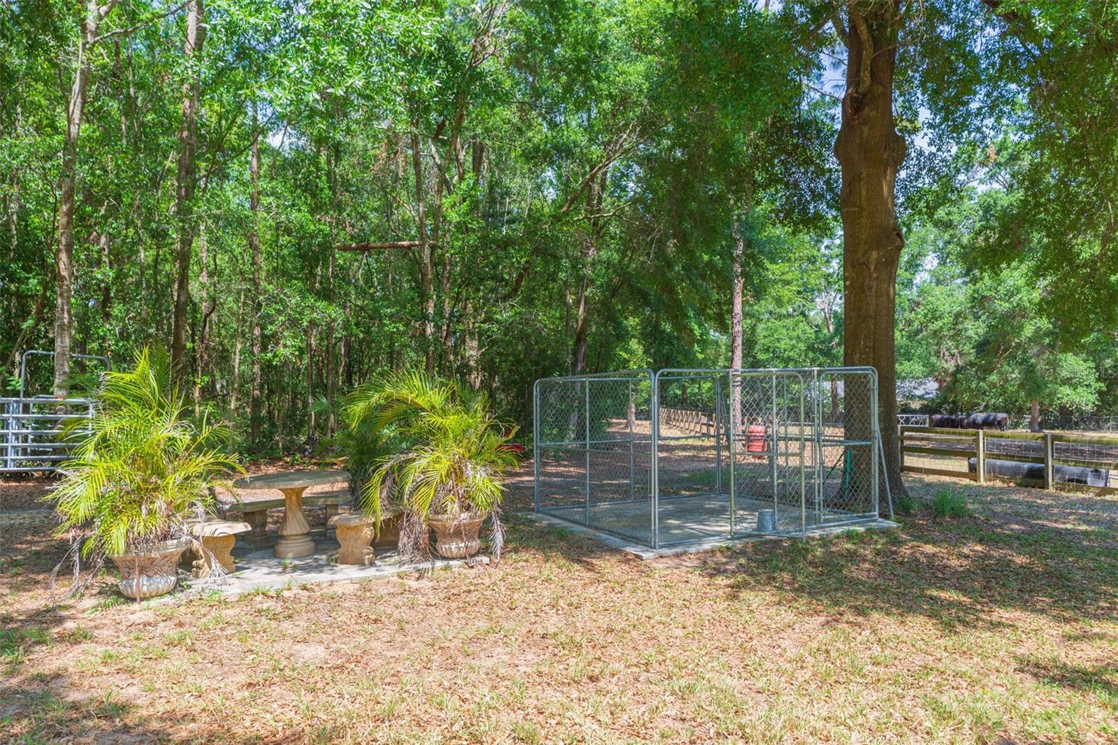 34211 Blanton Rd Property Photo 83