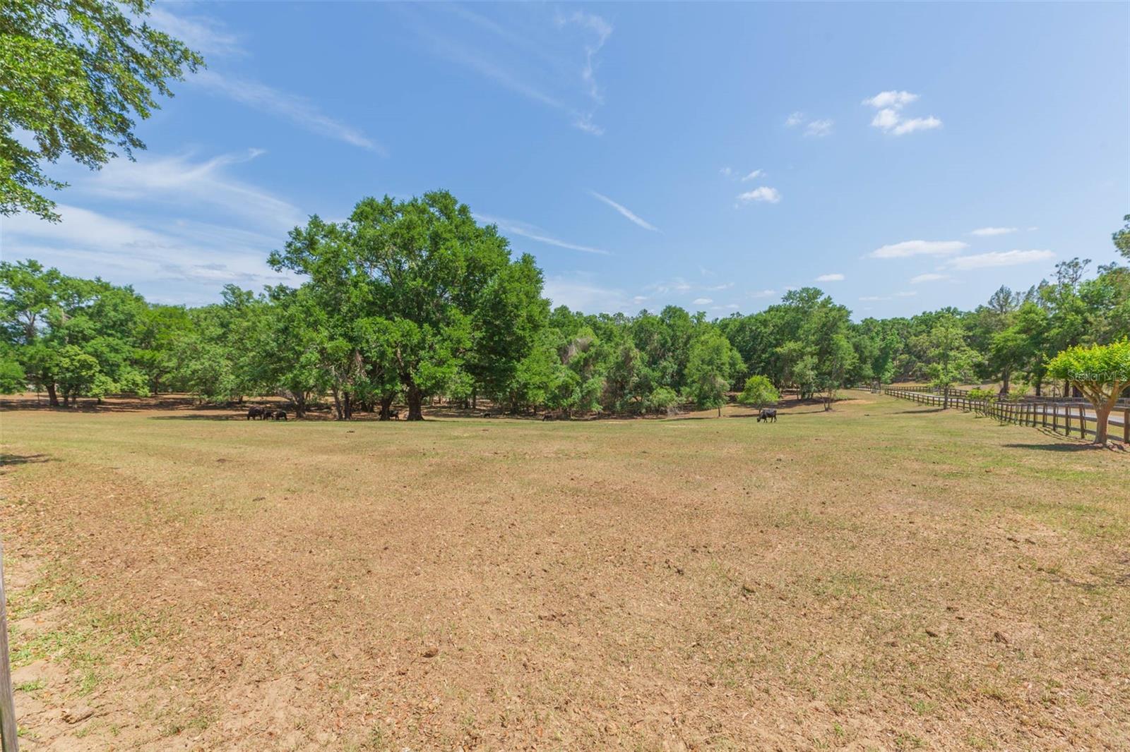 34211 Blanton Rd Property Photo 87