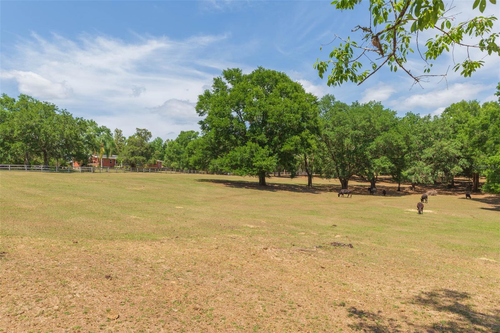 34211 Blanton Rd Property Photo 90