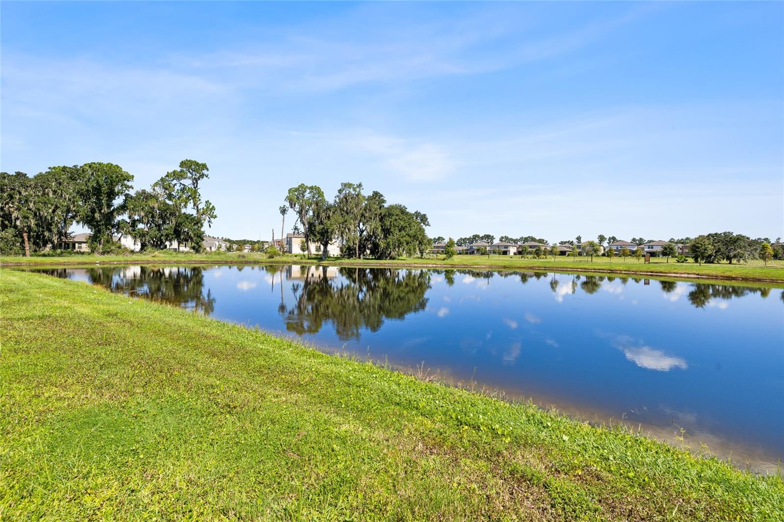 14886 Summer Branch Dr Property Photo 43