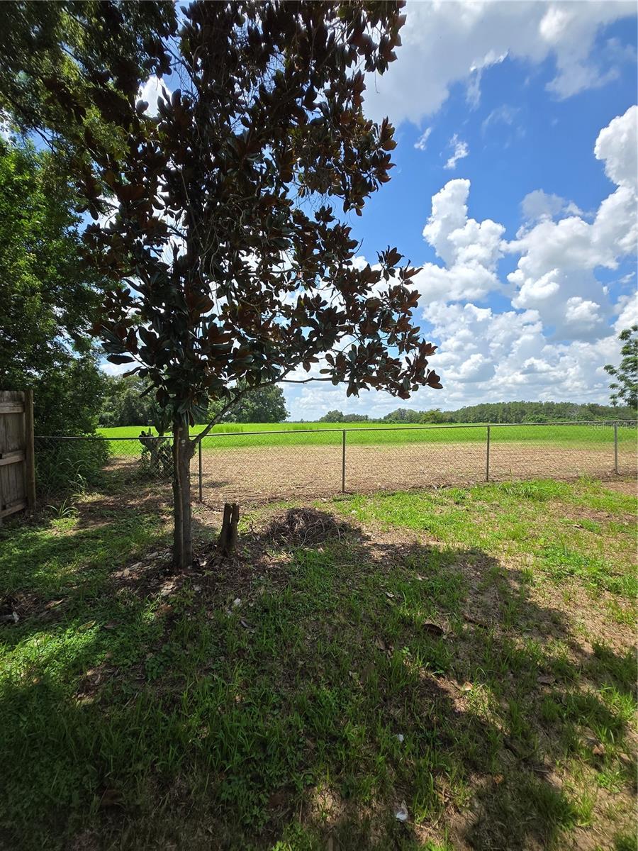 37406 Vista Dr Property Photo 22