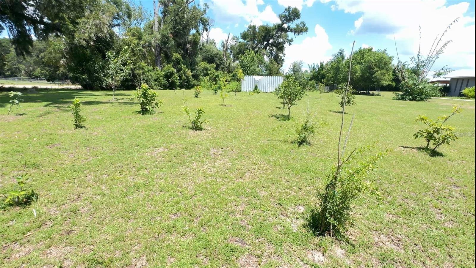 0 N Us Highway 441 Property Photo 4