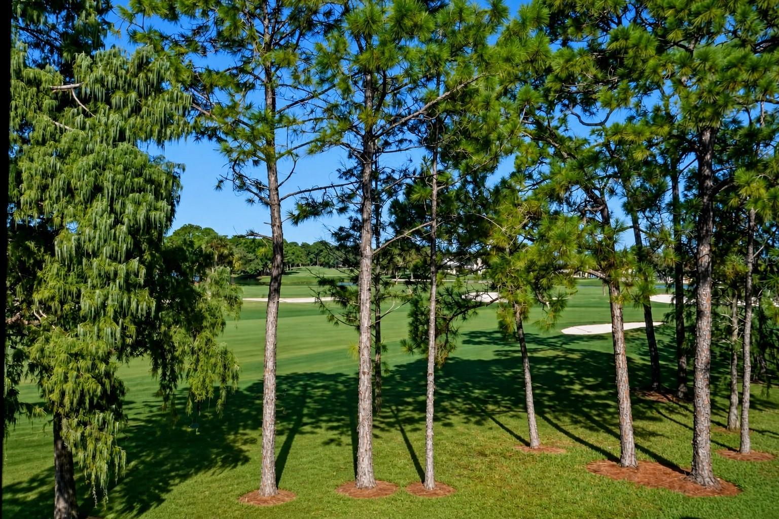 2400 Feather Sound Dr #427 Property Photo 13