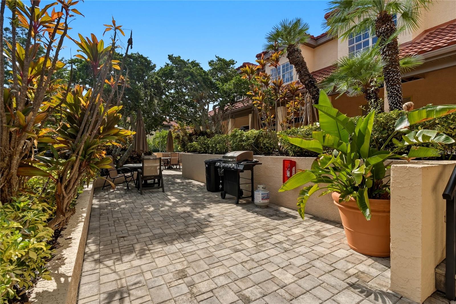 2400 Feather Sound Dr #427 Property Photo 25