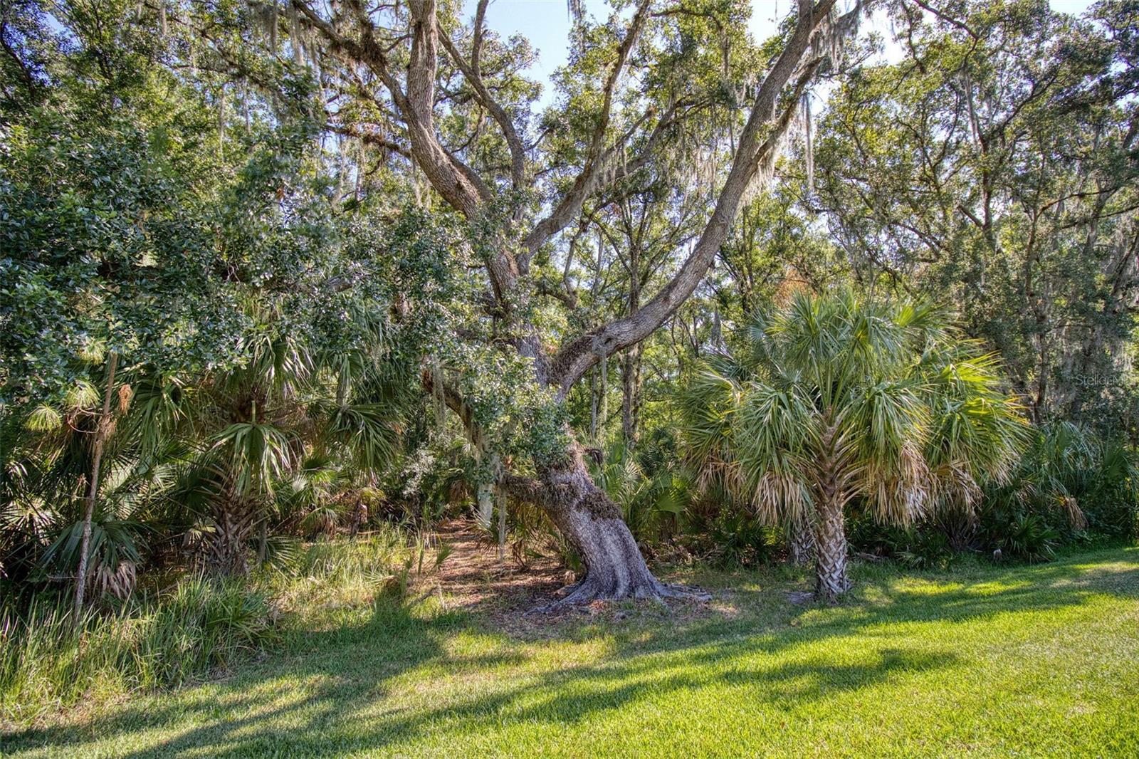 26888 Fiddlewood Loop Property Photo 49