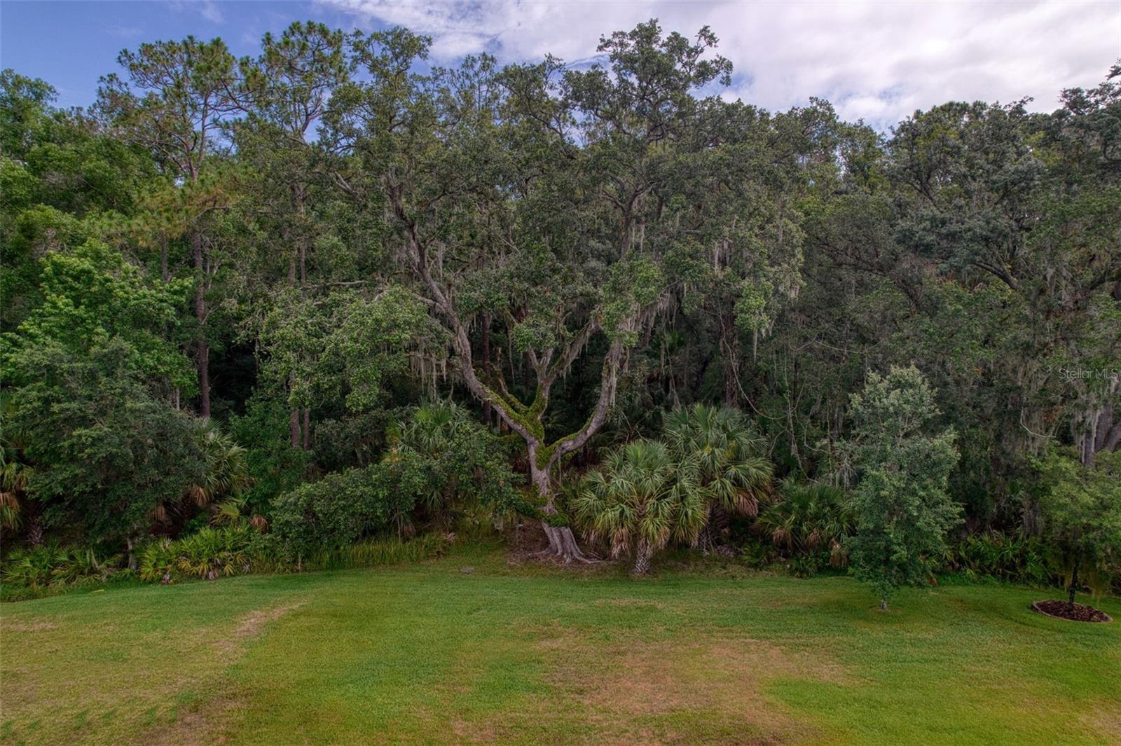 26888 Fiddlewood Loop Property Photo 53