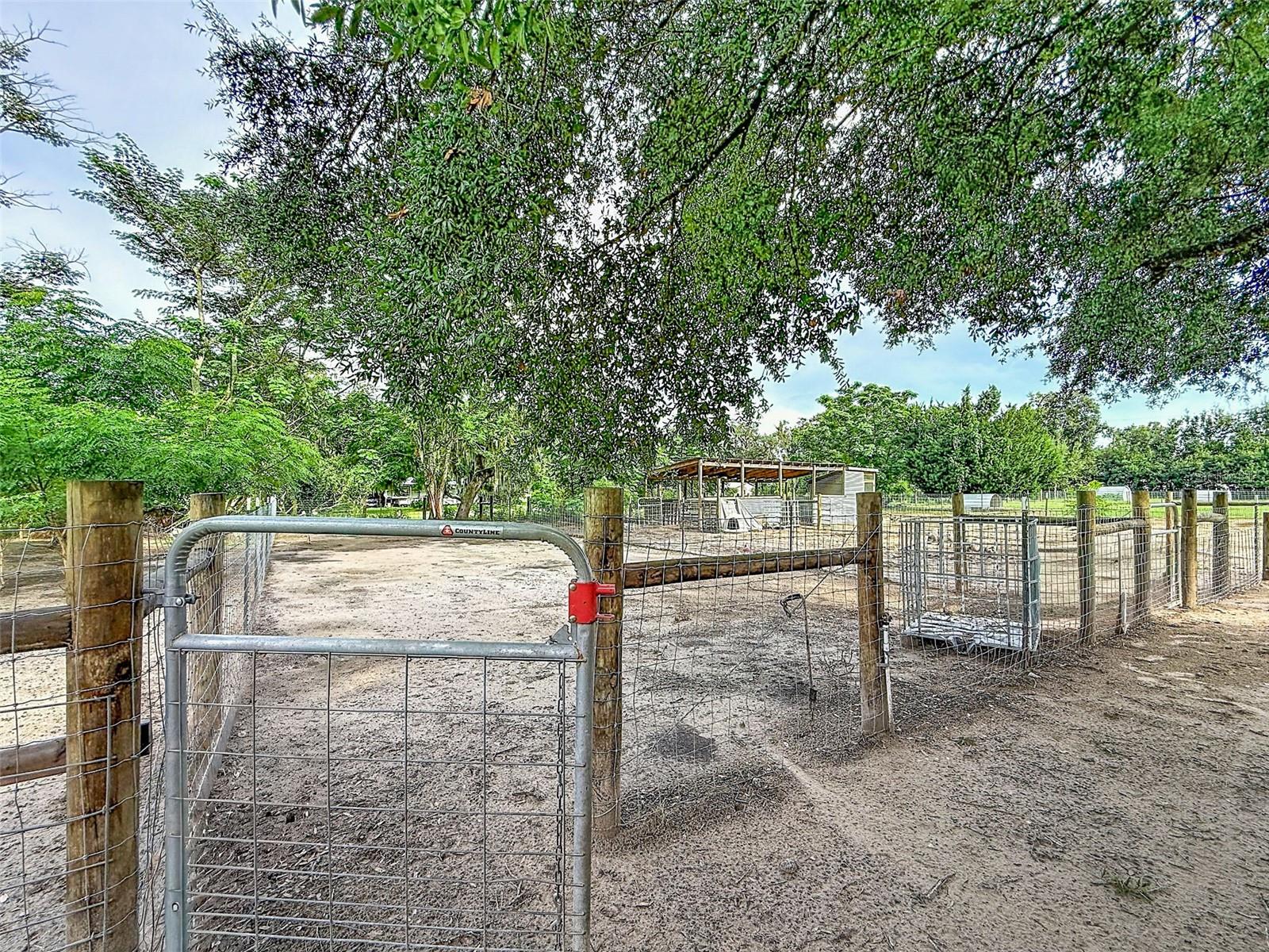 16736 Powerline Rd Property Photo 49