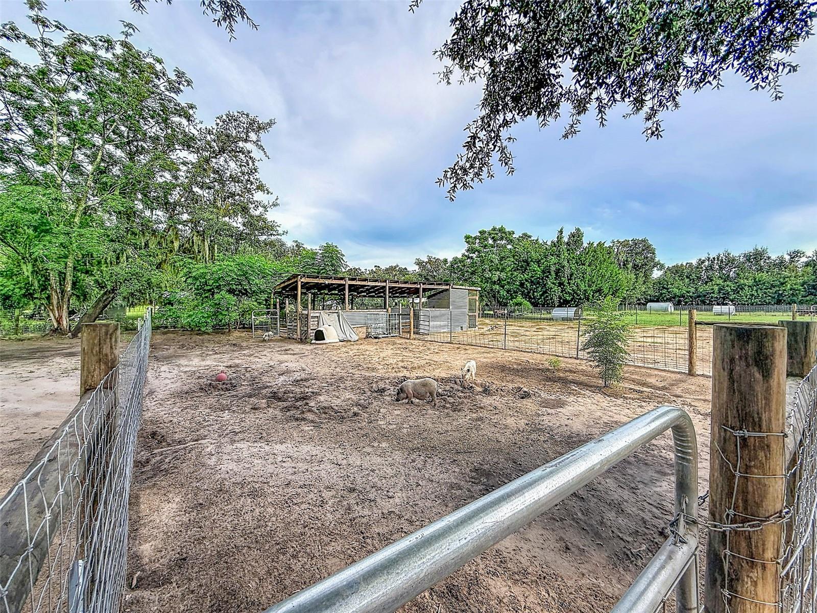 16736 Powerline Rd Property Photo 53