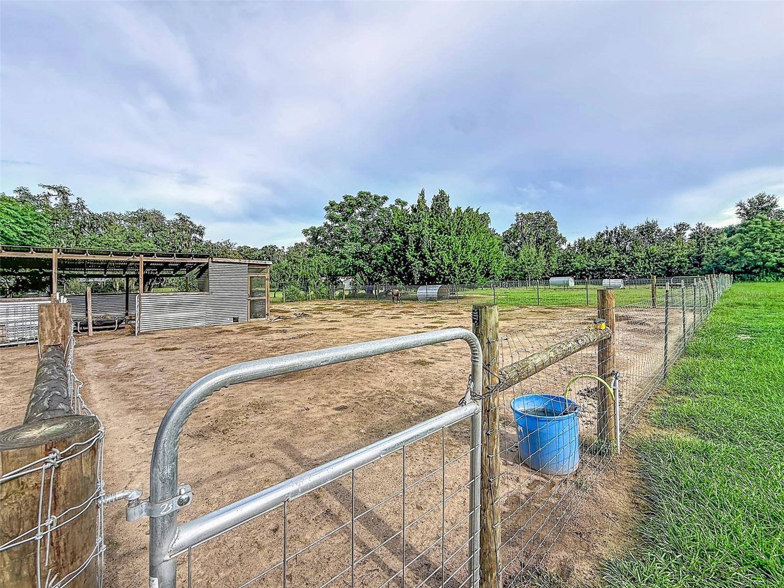 16736 Powerline Rd Property Photo 54