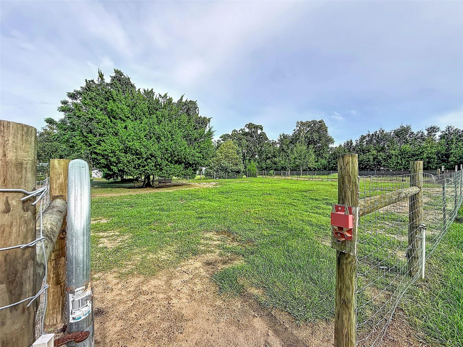 16736 Powerline Rd Property Photo 58