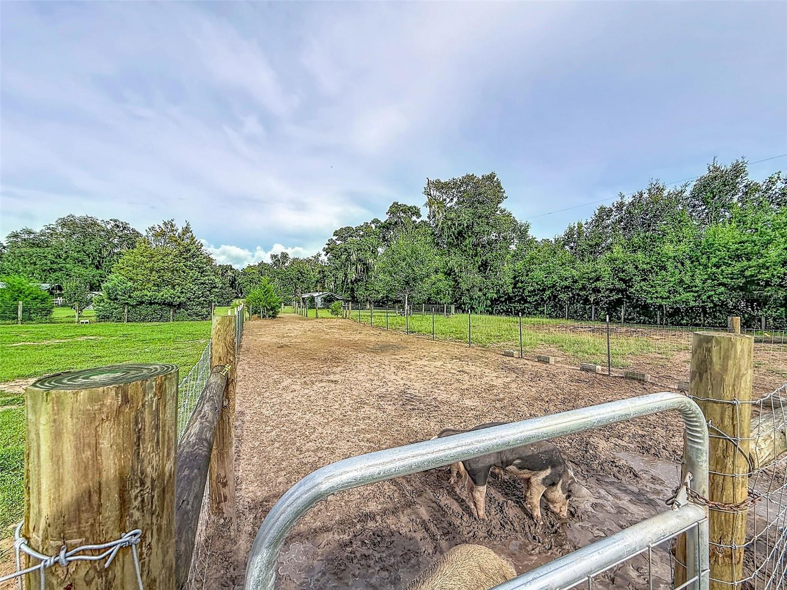 16736 Powerline Rd Property Photo 59