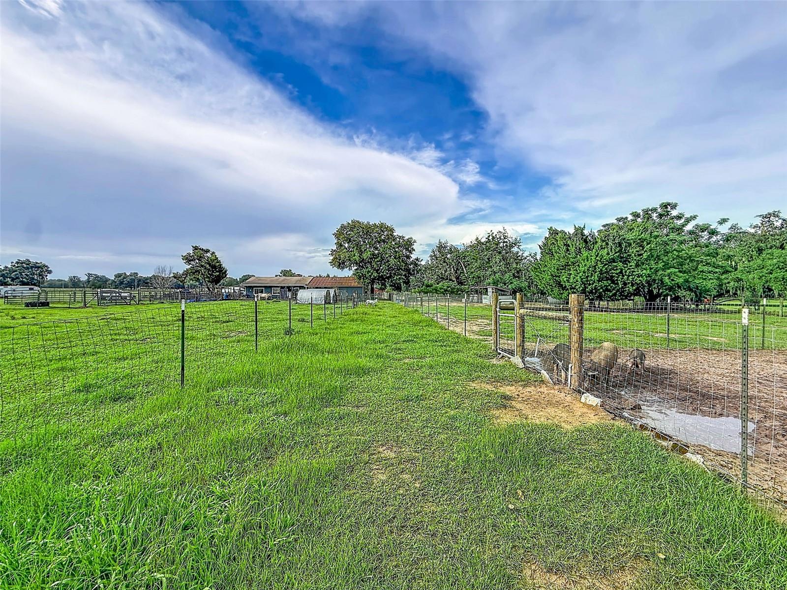 16736 Powerline Rd Property Photo 61
