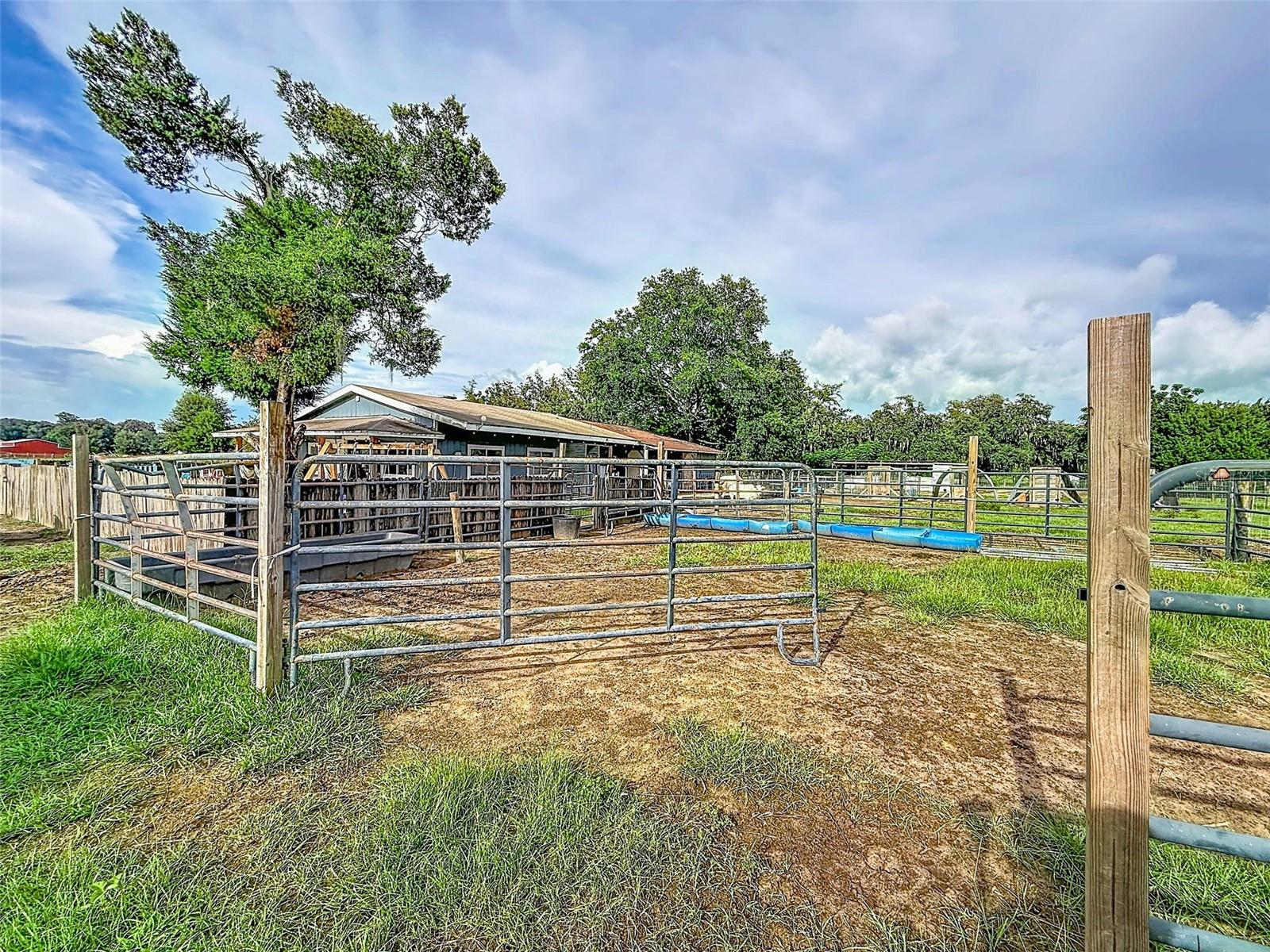 16736 Powerline Rd Property Photo 62
