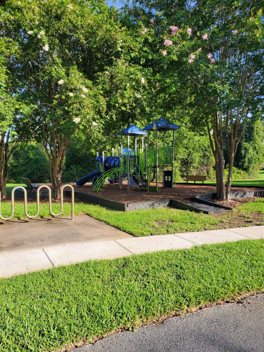 12148 Luftburrow Ln Property Photo 30