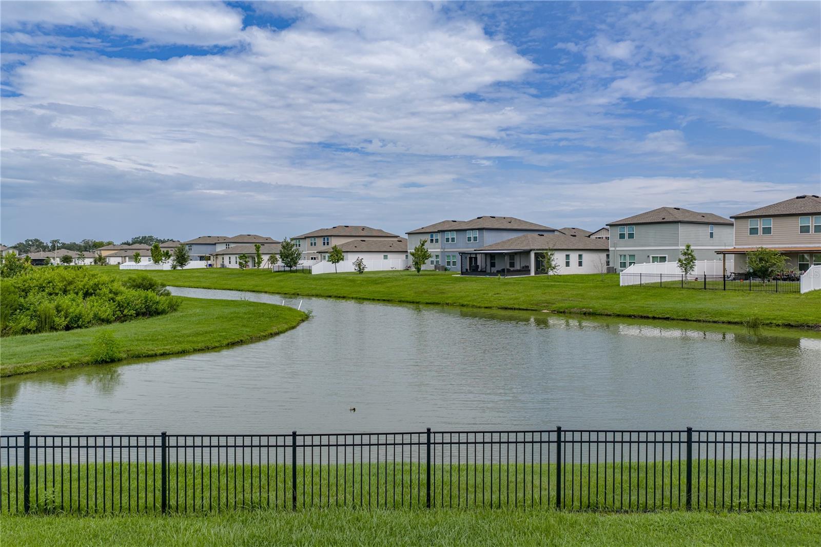 35746 Buttonweed Trl Property Photo 53
