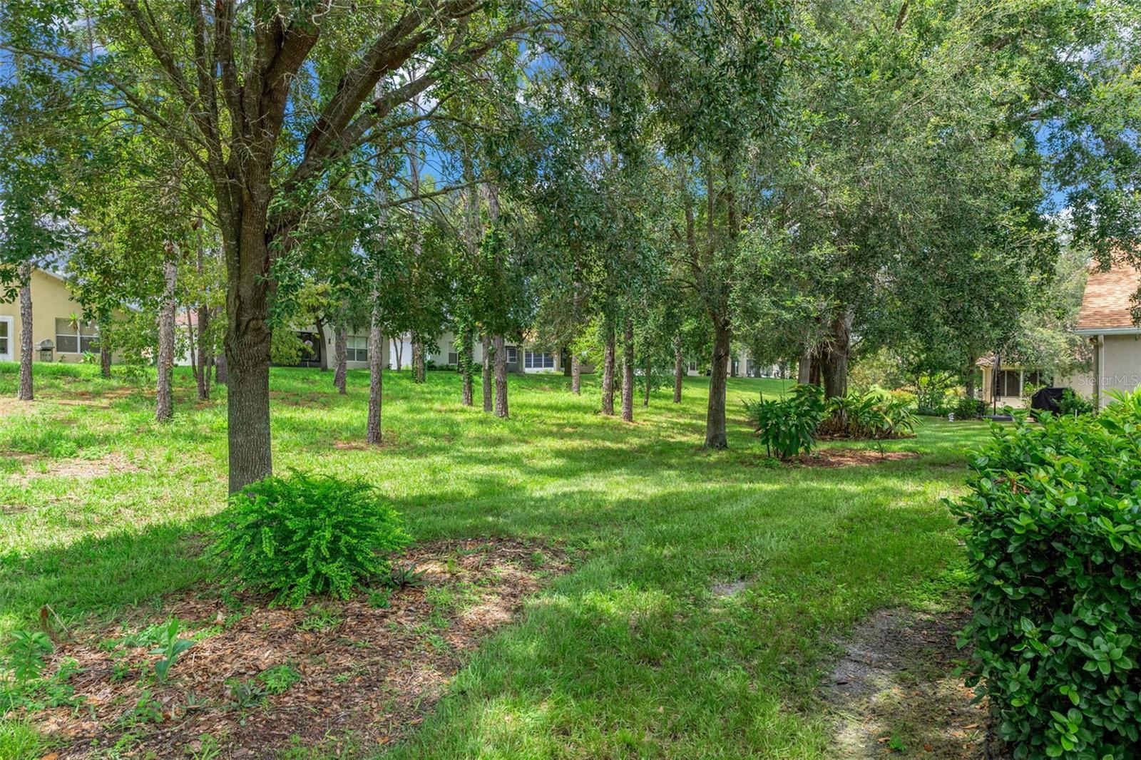 11578 New Haven Dr Property Photo 54