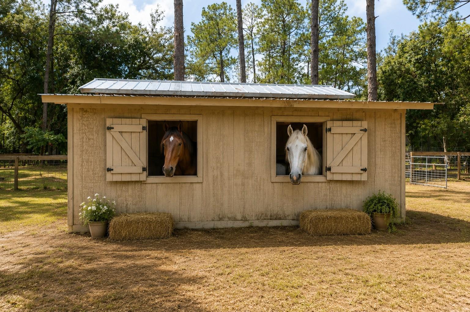 27729 Green Willow Run Property Photo 10