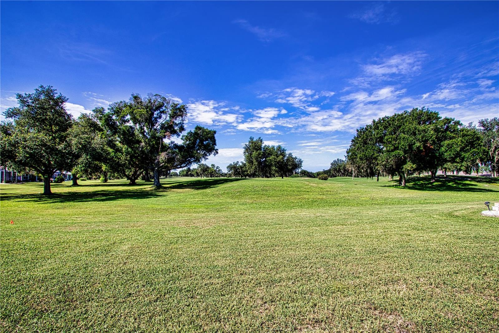 2424 E Del Webb Blvd Property Photo 58