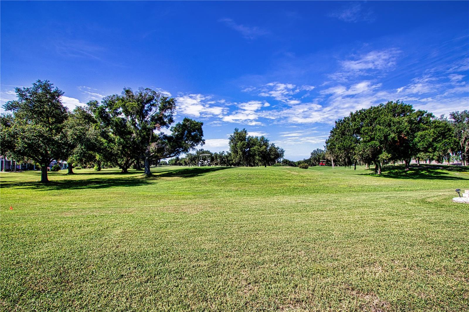 2424 E Del Webb Blvd Property Photo 59