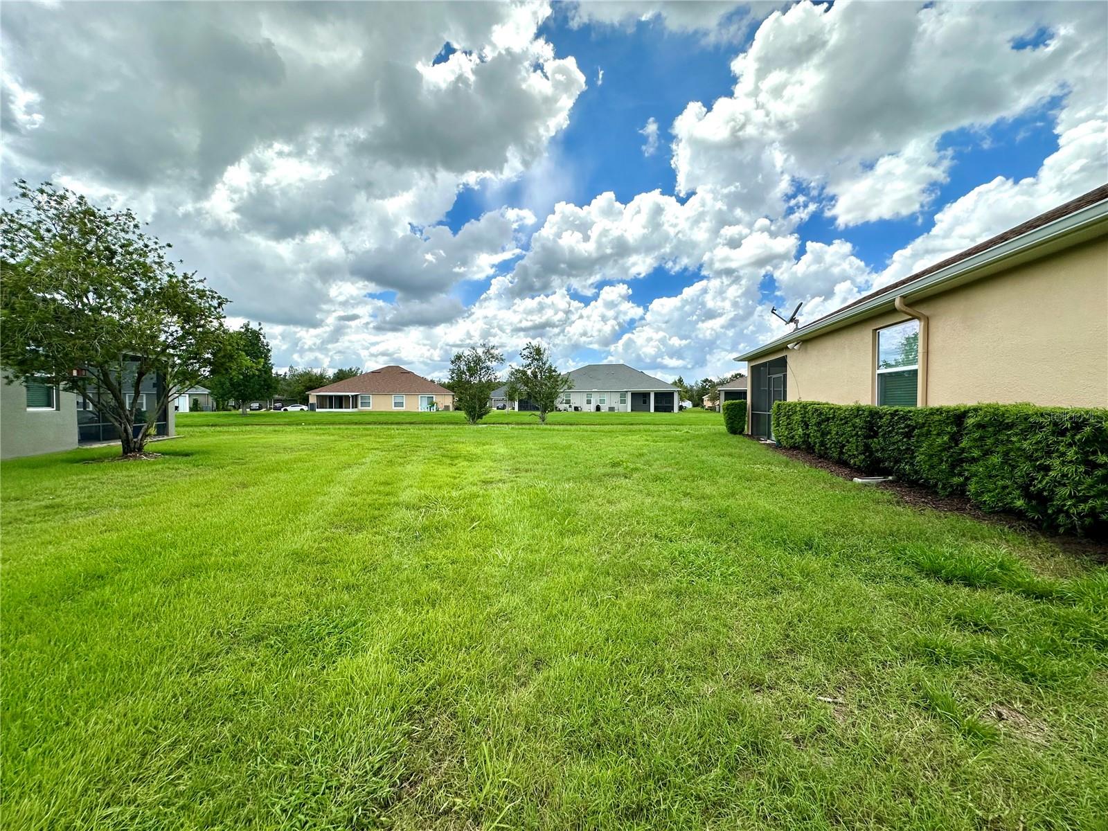 4247 Angelica Loop Property Photo 46