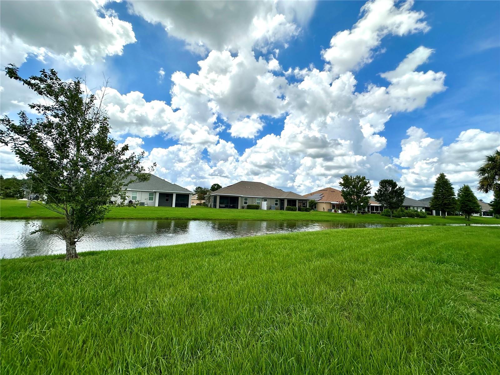 4247 Angelica Loop Property Photo 49