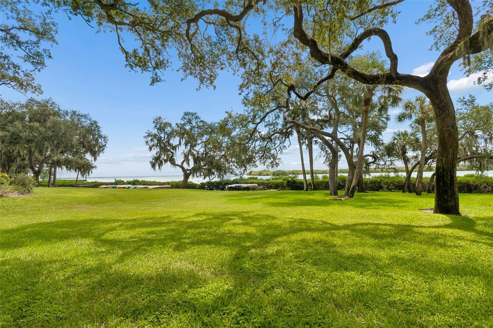 1111 N Bayshore Blvd #a15 Property Photo 56