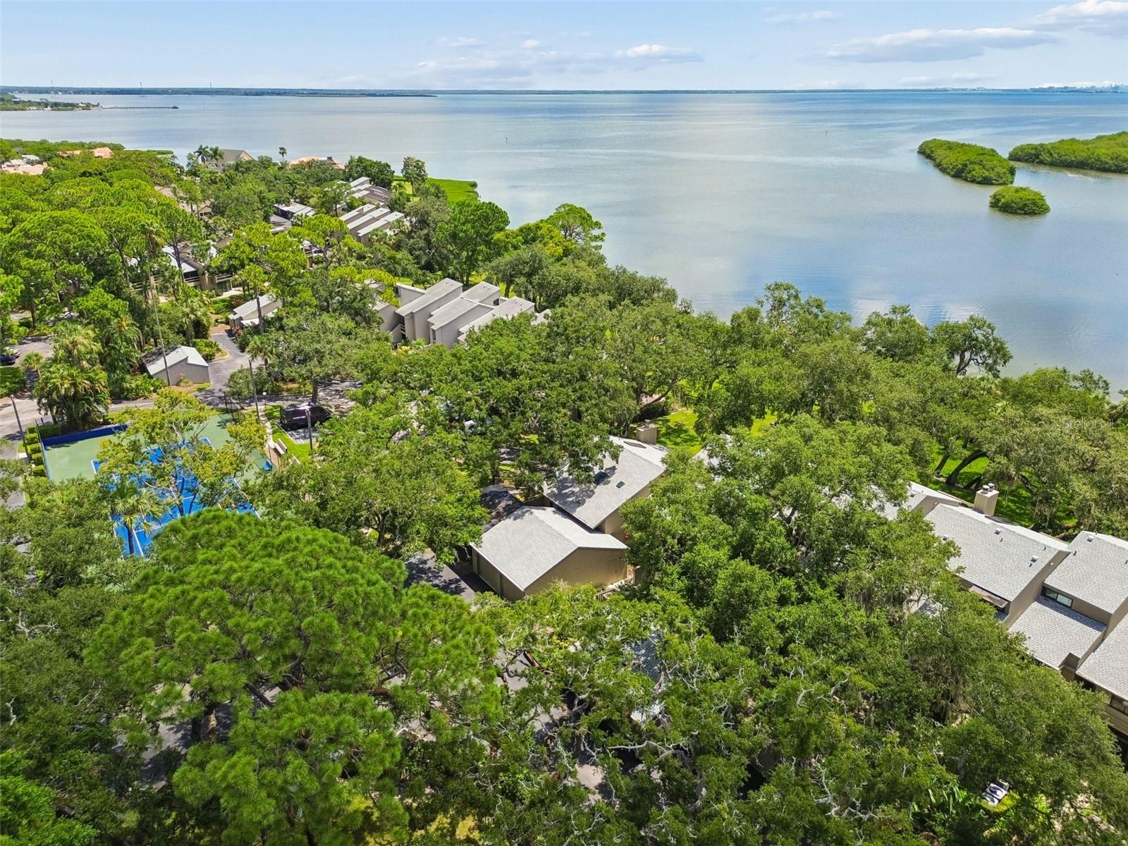 1111 N Bayshore Blvd #a15 Property Photo 65