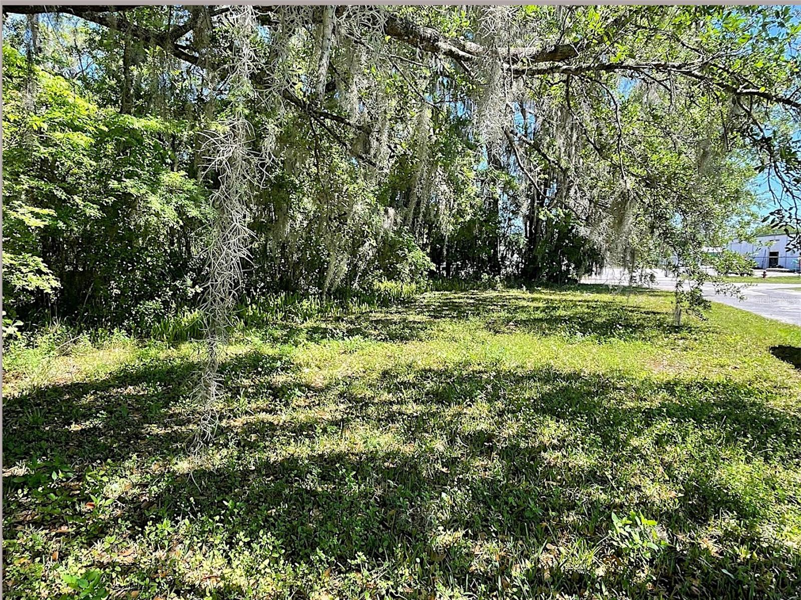 Union St Property Photo 10