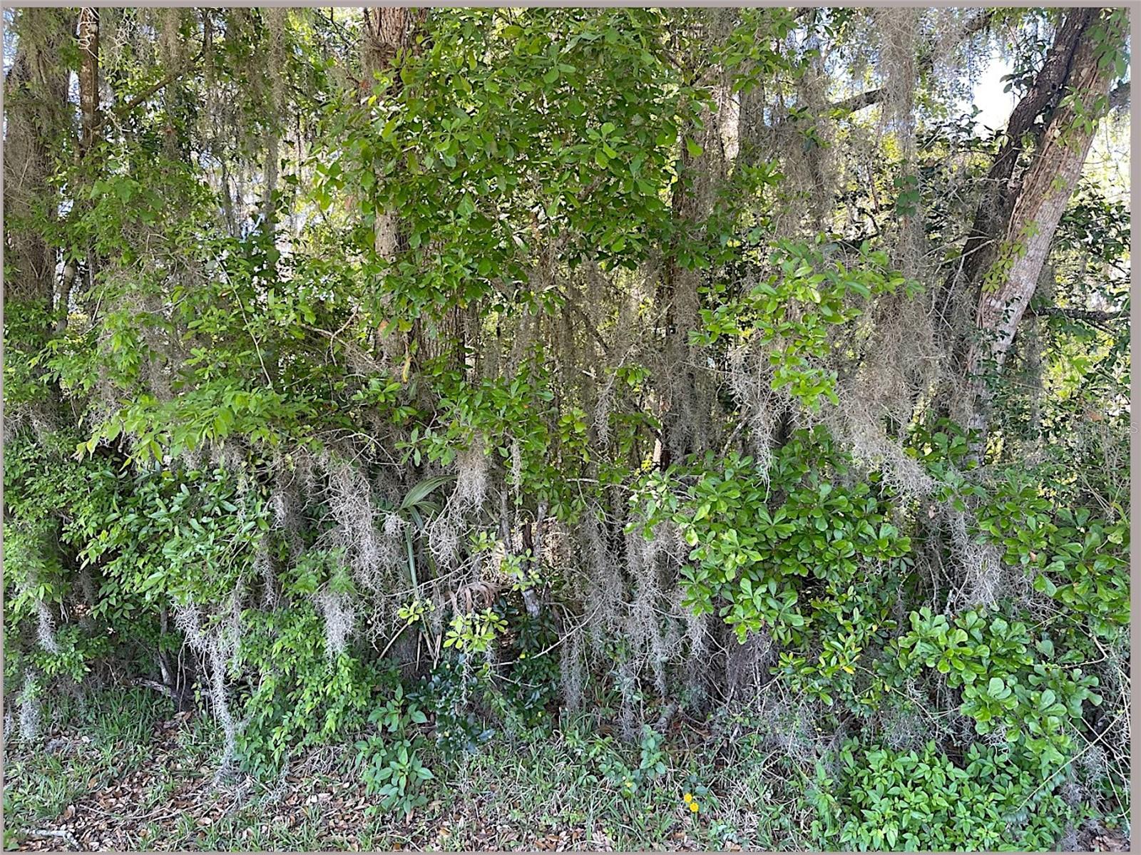 Union St Property Photo 15