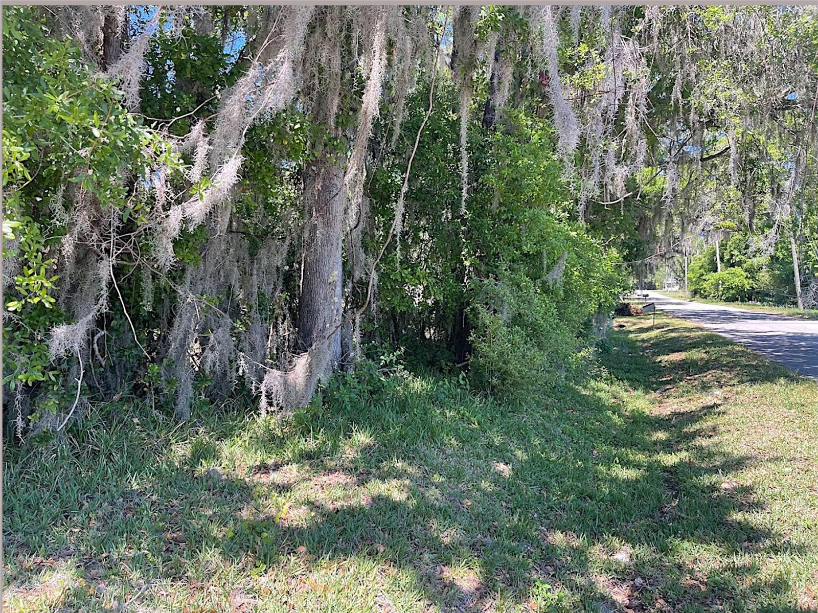 Union St Property Photo 16