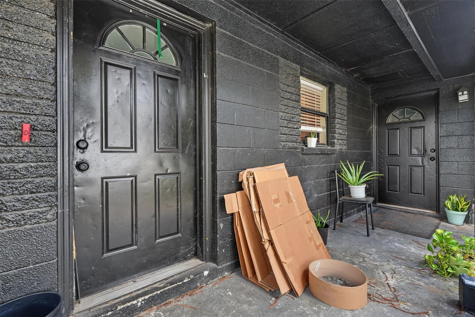 1803 E Bougainvillea Ave Property Photo 4