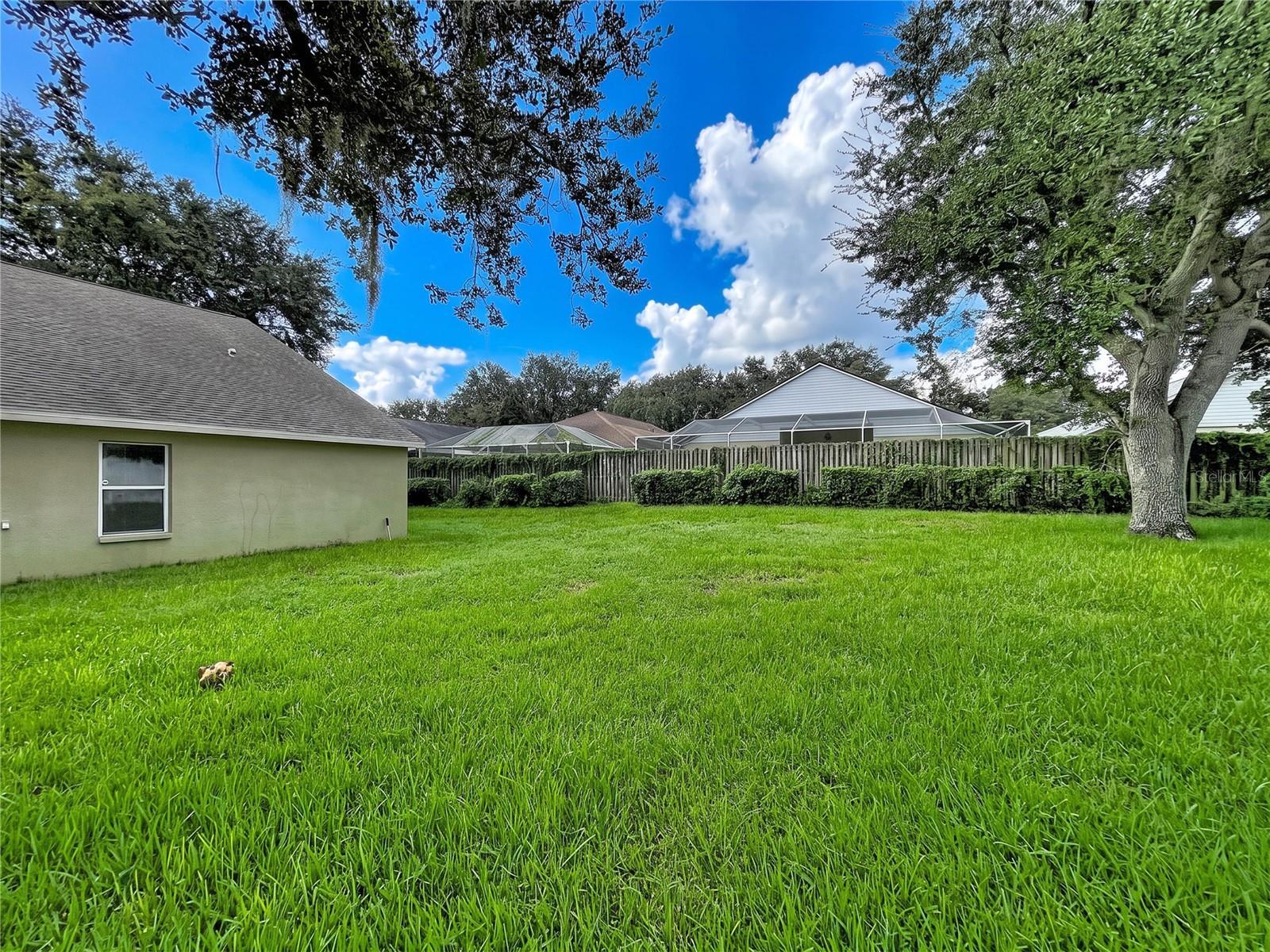 1124 Split Silk St Property Photo 5