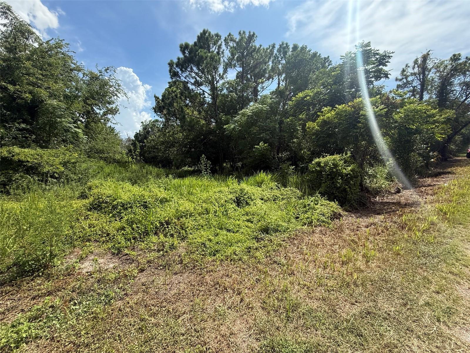 STAR RD
