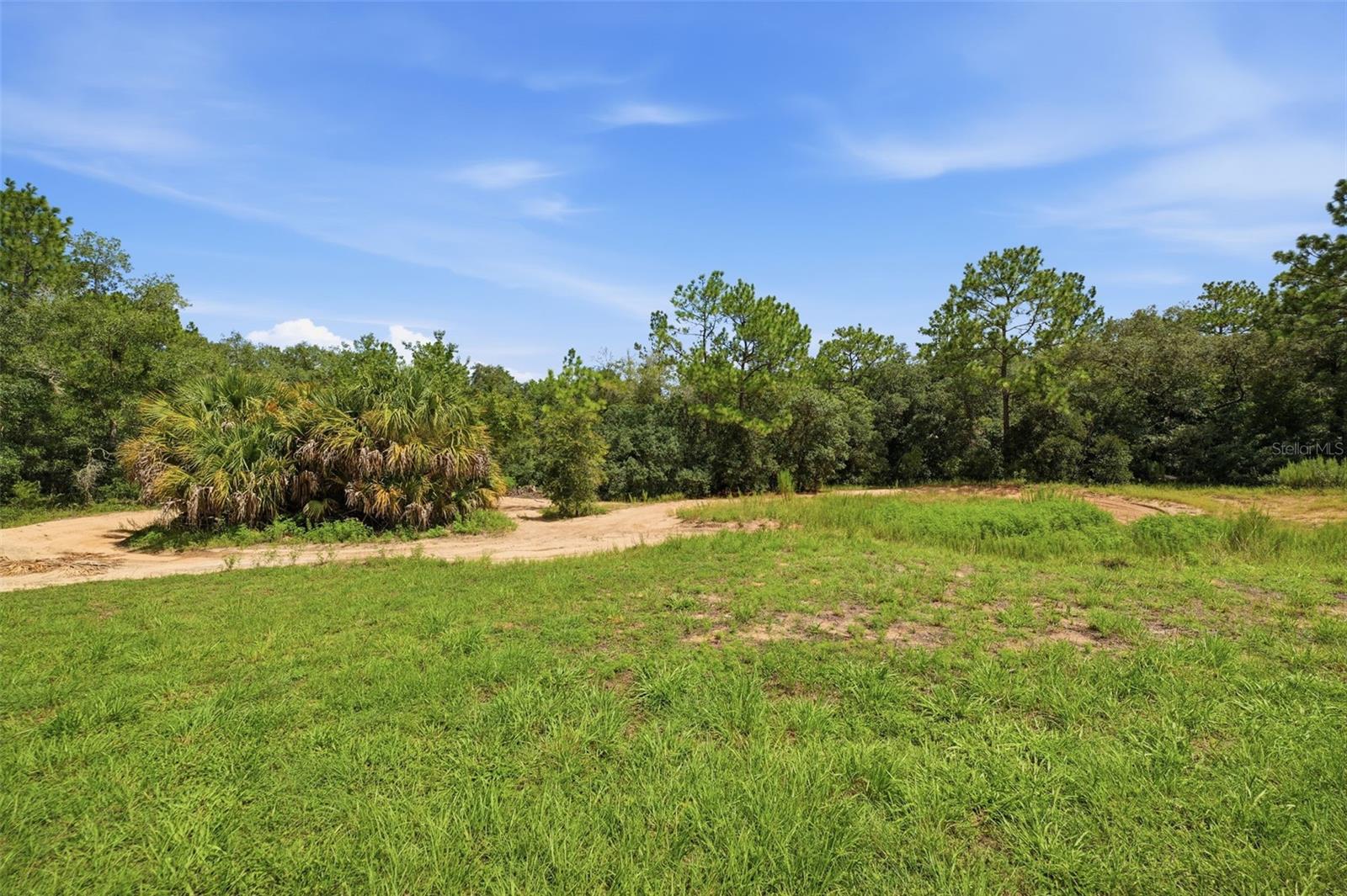 1345 E Ray St Property Photo 5