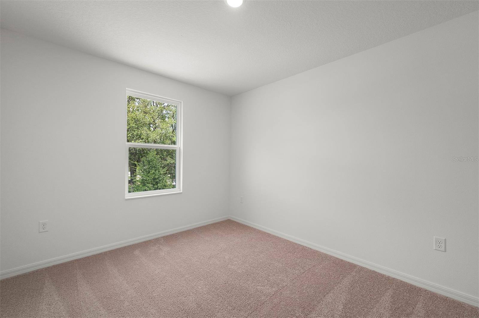 13376 Tula Loop Property Photo 18