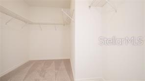 11142 Radiant Shore Loop Property Photo 20