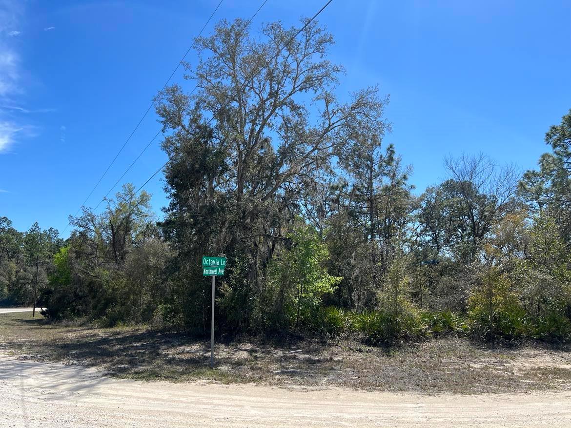 0 Northwest Ave #lot #32 Property Photo 2