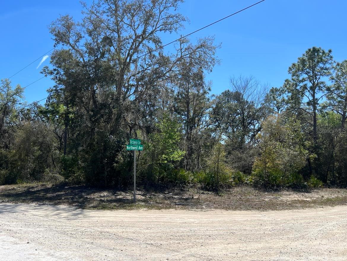 0 Northwest Ave #lot #32 Property Photo 8