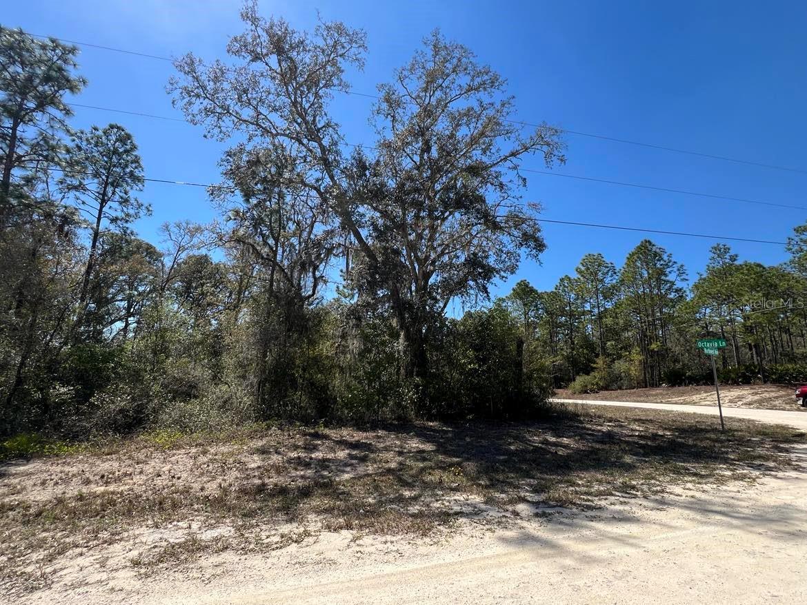 0 Northwest Ave #lot #32 Property Photo 10