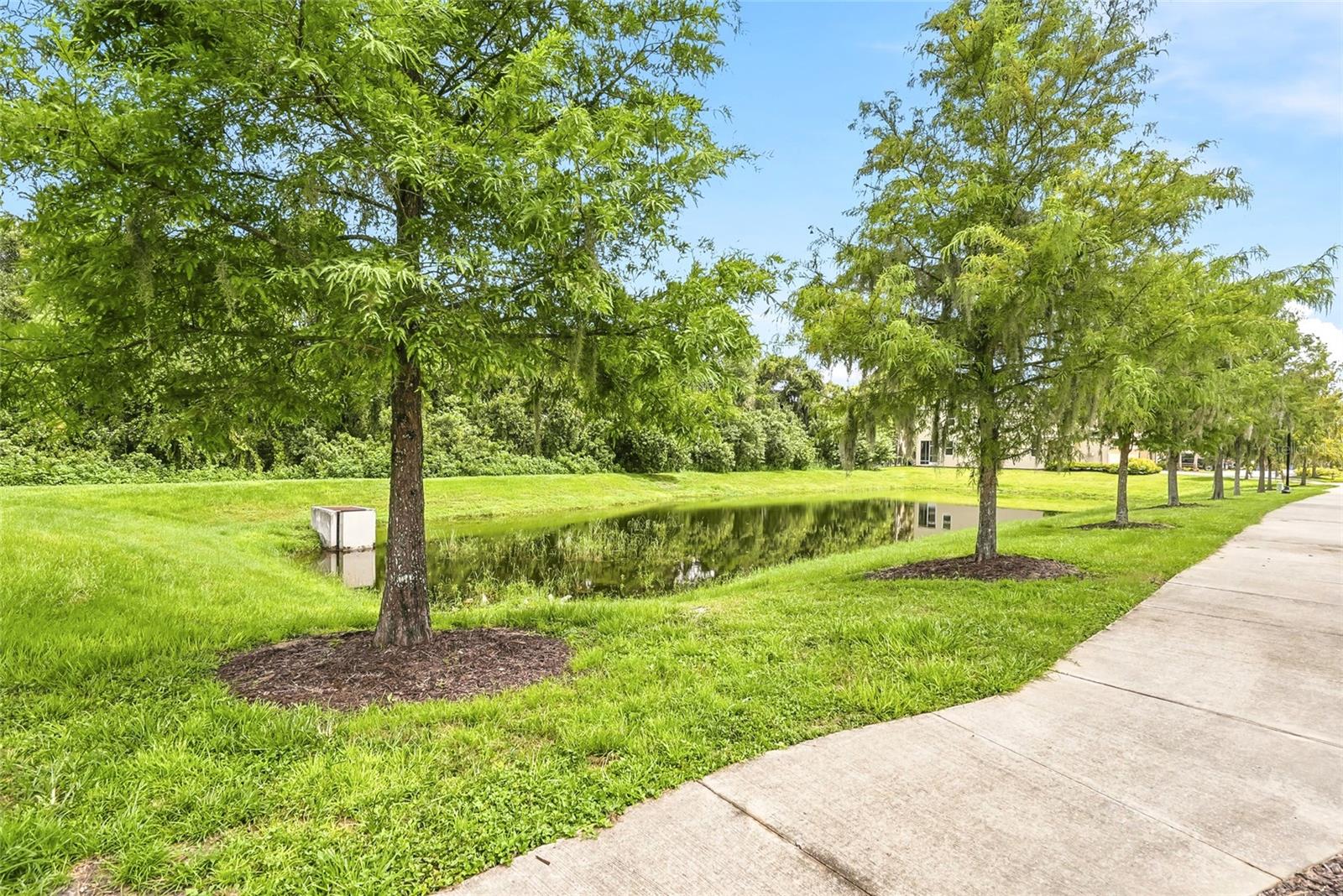 13105 Canopy Creek Dr Property Photo 44