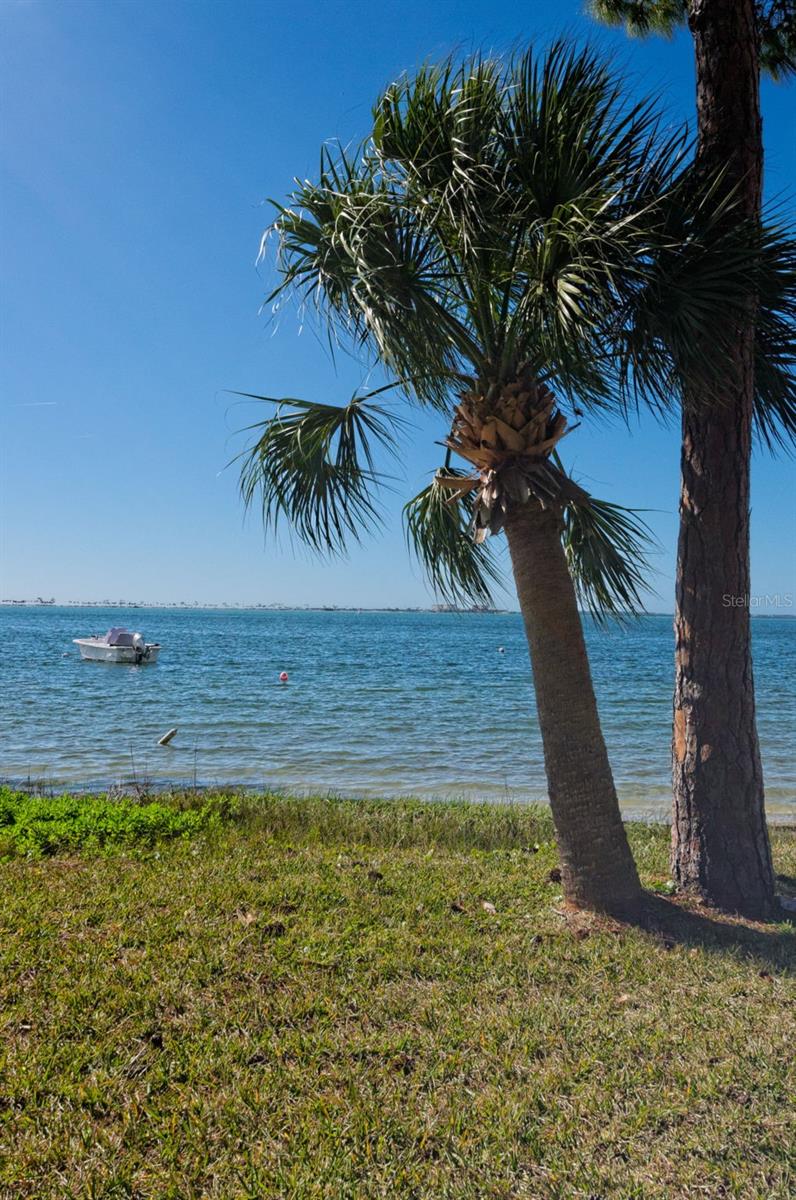 2700 Bayshore Blvd #2201 Property Photo 39