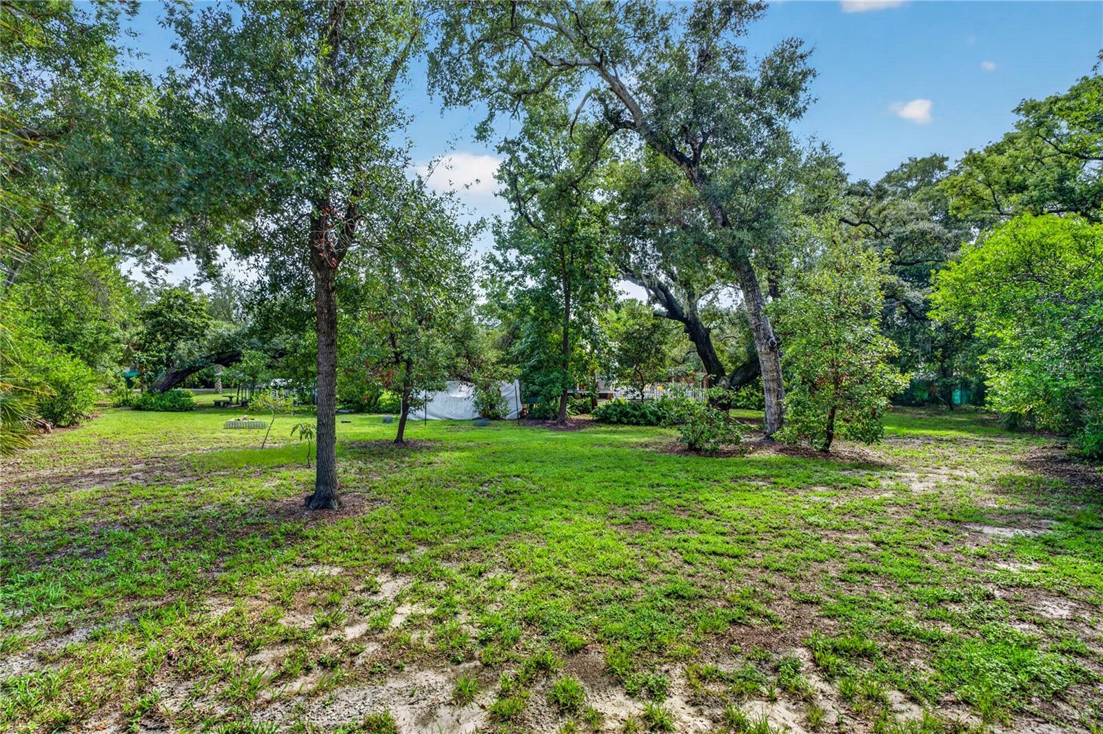 207 N Levis Ave Property Photo 14