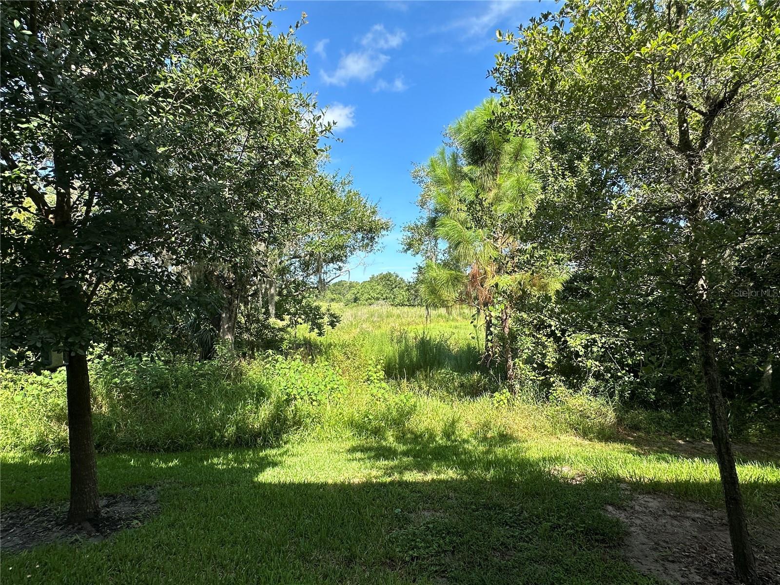 1389 White Fox Run Property Photo 16